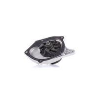 Dolz Pompe à eau R217