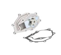 DOLZ R240 Pompe à eau