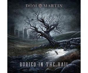 Dom Martin - Buried in The Hail
