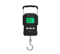 Domary Balance Numérique Suspendue 75 Kg/10 G avec Rétroéclairage LCD et