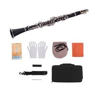 Domary Clarinette SIB 17 Touches pour Débutants, Clarinette ABS avec 10 Anches, Instrument à Vent avec étui de Transport, , Chiffon de Nettoyage, Mini Tournevis, étui à Anches (Noire)