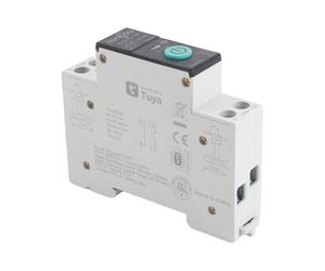 Domary Disjoncteur Intelligent WiFi avec Télécommande sans Fil, Compatible avec Application Mobile, Dispositif Domotique Intelligent Mesure en Temps Réel, Retardateur PA (Mon frère)
