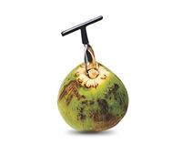 Domary Ouvre-Noix de Coco en Acier Inoxydable, Facile à Utiliser pour Ouvrir des Noix de Coco Vertes Fraîches (Noire)