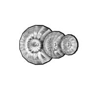 Domary S85T 85 Cm 33,5 Pouces Parapluie à Dégagement Rapide Softbox Pliable Softbox Photographie Studio Portrait Flux en Direct (Noire)