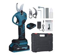 Domary Sécateur électrique sans Fil 18V, Moteur sans Balais, avec Batterie 2x2000mAh, écran LCD pour Coupe de Branches d'arbre, Coupe 30mm (Prise UE et 2 Batteries)