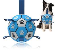 Domchan Ballon de football pour chien, jouet interactif pour tir à la corde, cadeau d'anniversaire pour chiot, jouet à tirer, jouet aquatique, balles durables pour petite et moyenne taille (20,3 cm