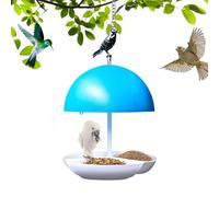 Dôme Bird MEEDER, mangeoire à oiseaux avec toit, distributeur de nourriture en métal étanche à la pluie, plateau d'alimentation d'oiseaux sauvages décoratifs avec dôme pour attirer bluebird et fringue
