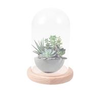 Dôme D'affichage en Verre pour Fleur Éternelle Base Bois | Design Transparent, Observation Claire, Fond Antidérapant, Format Compact, pour Atelier DIY Floral et Anniversaire