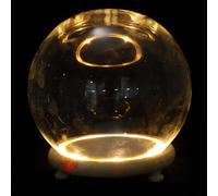 Dôme en Verre Lumineux pour Fleurs Préservées, Décoration | Verre et Bois, pour Fleurs Séchées et Micro-paysages, Ambiance Romantique, Maison et Nuit