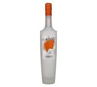 Domenis 1898 LADY D Intense Orange 40% Vol. 0,5l