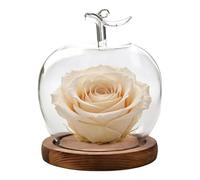 Dômes en verre pour la présentation, décoration de table en forme de fruits - Cloche en verre préservé | Pour collectionneurs bureau magasin de détail magasin de détail bijoux de mariage objets de