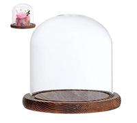 Dômes en verre pour l'affichage, dôme en verre avec base transparente de 3,5x4,7 pouce à poussière rétro Doms Dome Home Tabletop Coffee Shop Glass Cloche for Fake Flower Doll Figurine