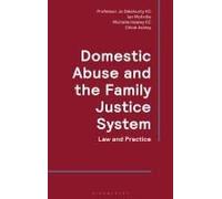 Domestic Abuse And The Family Justice System