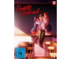 Domestic Girlfriend - Vol. 1