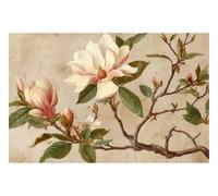 DOMEVISTA Papier Peint Intissé Magnolia Blanc Rose Vintage 500 x 280 cm | Branches élégantes, pétales ivoire et touches rosées sur un fond patiné raffiné; Fabriqué en Allemagne; colle incluse.
