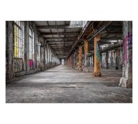 DOMEVISTA Papier Peint Intissé Usine Abandonnée Graffiti Urbex 500 x 280 cm