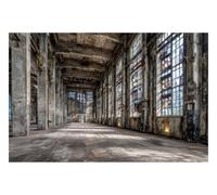 DOMEVISTA Papier Peint Intissé Usine Fenêtres Urbex Gris 250 x 186 cm