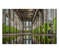 DOMEVISTA Papier Peint Intissé Usine Verte Reflets Urbex 450 x 280 cm