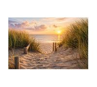 DOMEVISTA papier peint mural chemin dans les dunes vers la mer au coucher du soleil 400 x 260 cm H1160