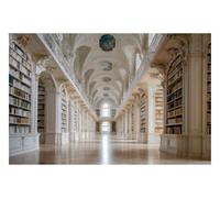 DOMEVISTA Papier Peint Photo Intissé Bibliothèque Livres Blanc 450x280 cm | Arches Plafond Étagères Palais Galerie Lecture Bois Baroque Arcades Voûtes Pierre Architecture Cloître Marbre; colle incluse.
