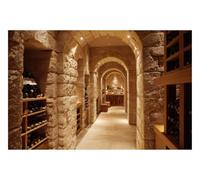 DOMEVISTA Papier Peint Photo Intissé Cave Barriques Pierre Arche 200x149 cm | Maçonnerie Brut Textures Terre Rustique Vin Fûts Tonneaux Cellier Vignoble Fresque Panorama Tapisserie XXL; colle incluse.