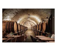 DOMEVISTA Papier Peint Photo Intissé Cave Vin Barriques Pierre 200x149 cm | Chai Fûts Souterrain Ambre Rustique Tonneaux Cellier Vignoble Fresque Panorama Tapisserie XXL; colle incluse.