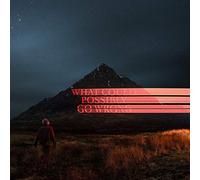 Dominic Fike – What Could Possibly Go Wrong – Vinyle LP 140 g – Import