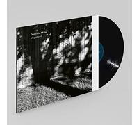 Dominic Miller – Vagabond – Vinyle 33 tours – Verve Spa