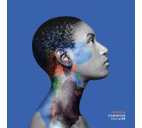 Dominique Fils-Aimé - Nameless (Repress) (12" Vinyl)