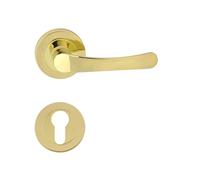 Domino Poignée de porte NOVA-R M1 Laiton PZ / Bureau