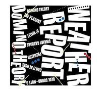 Domino Theory Edition limitée CD