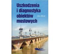 Dommages et diagnostic des ponts