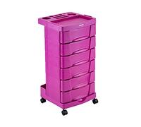 DOMPEL Chariot Beauty Care Chariot Salon Coiffure Barbier (Rose)