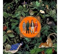 Don Broco - Amazing Things [Cd]