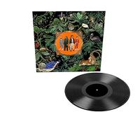 Don Broco – Amazing Things – Vinyle 12" 33 tours
