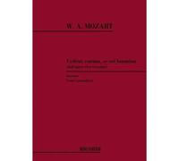 Don Giovanni: Vedrai, Carino, Se Sei Buonino / Conducteur