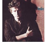 DON HENLEY - BUILDING THE PERFECT BEAST CD 11 TRACKS ROCK & POP NEUF