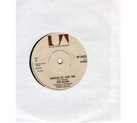 Don McLean - American Pie