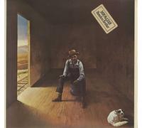 Don McLean Homeless Brother 1974 UK vinyl LP UAG29646