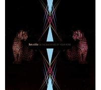 Don Nino - In the Backyard of Your..