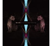 Don Nino - in The Backyard of Yourmind [Import]