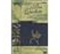Don Quixote E