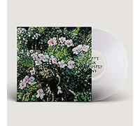 Don T Ask Yourself Why