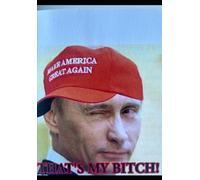 Don the "Con", The world's most dangerous man!: The unvarnished story of a Mafia President