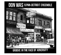 Was, Don - Groove in The Face of Adversity [Import]