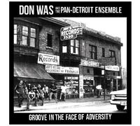 Don Was - Groove In The Face Of Adversity [Vinyl Lp]