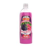 DONA FLORA - Gel Douche Framboise & Mûre 750ml - Soin Nourrissant et Revitalisant - Hydratation Quotidienne - Parfum Fruité - Pour Tous Types de Peaux - Formule Végétale