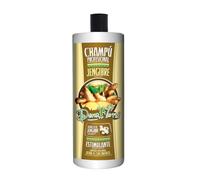 Dona Flora Shampooing Stimulant Gingembre 1000ml