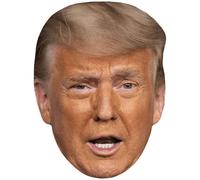 Donald Trump (Eyebrow) Big Head. Masque plus grand que nature.