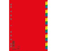 DONAU 7736095PL-99 Lot de 31 intercalaires en plastique écologique PP DIN A4 230 x 297 mm 31 pièces/intercalaires en plastique à anneaux / 11 trous/pour l'organisation des dossiers au bureau